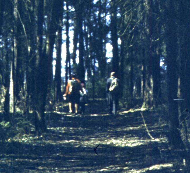 010-1.jpg