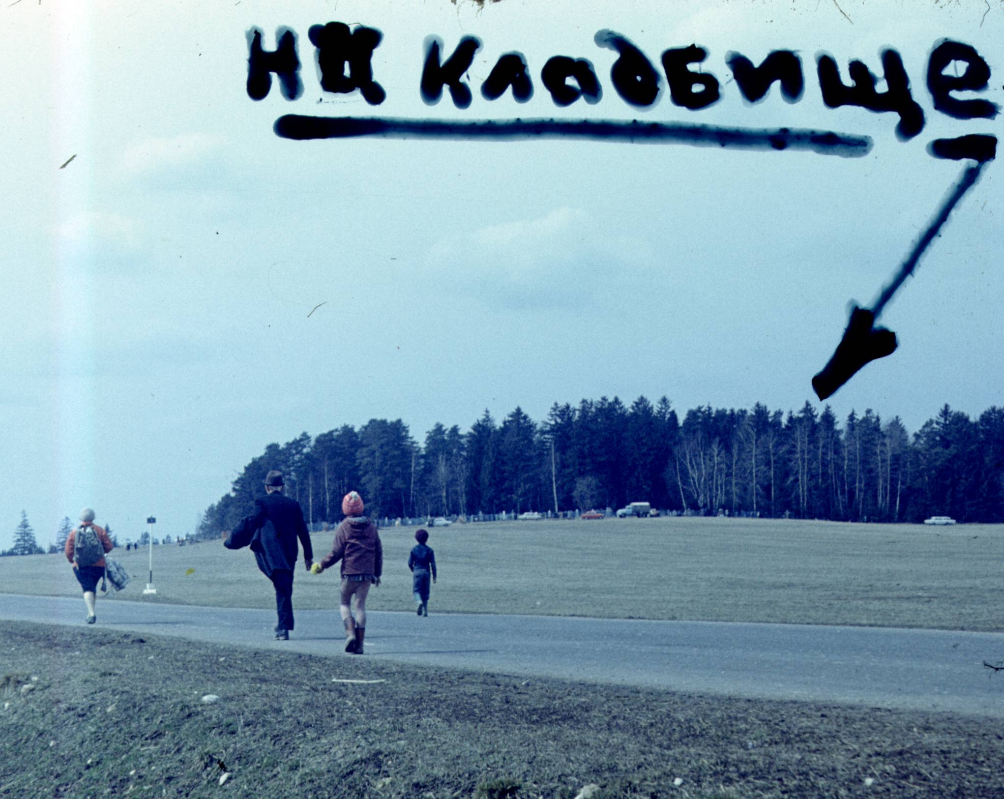 012.jpg