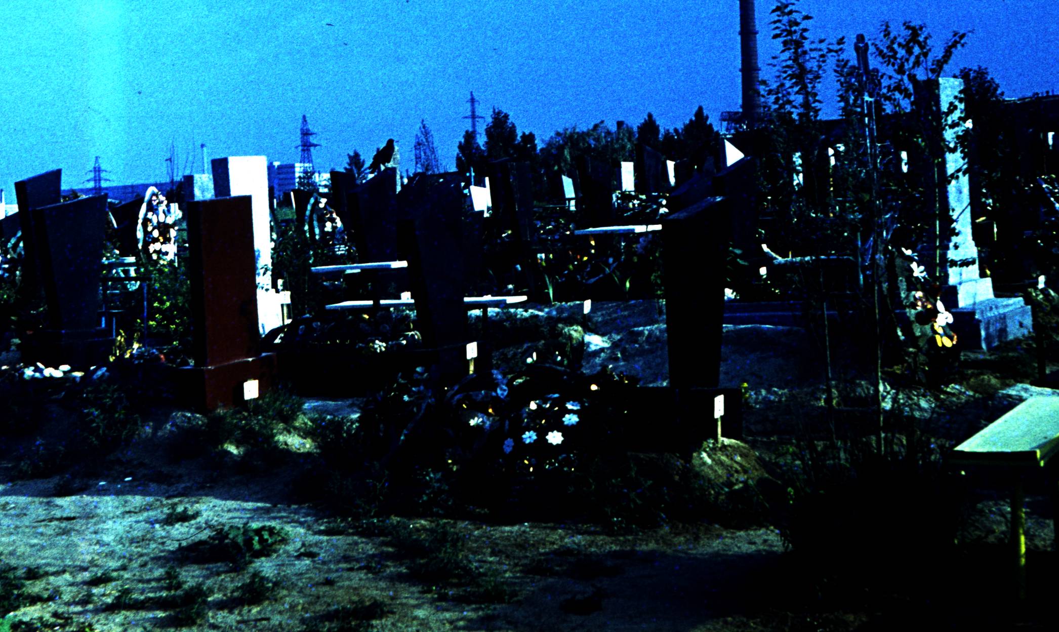 127.jpg