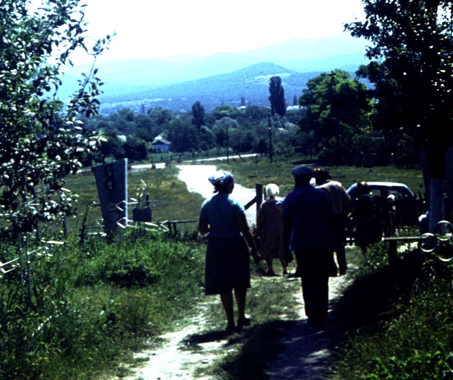 178.jpg