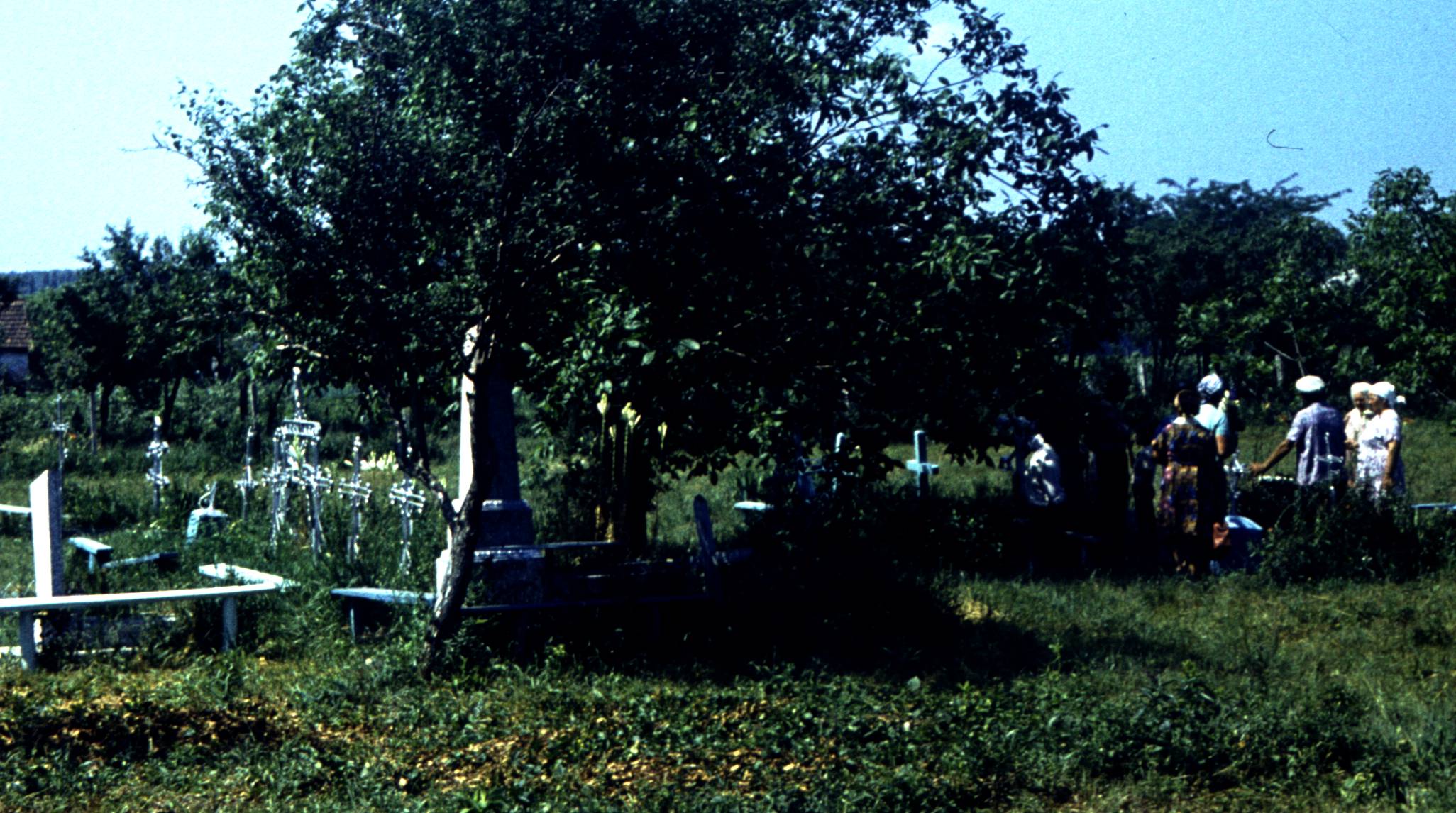 185.jpg