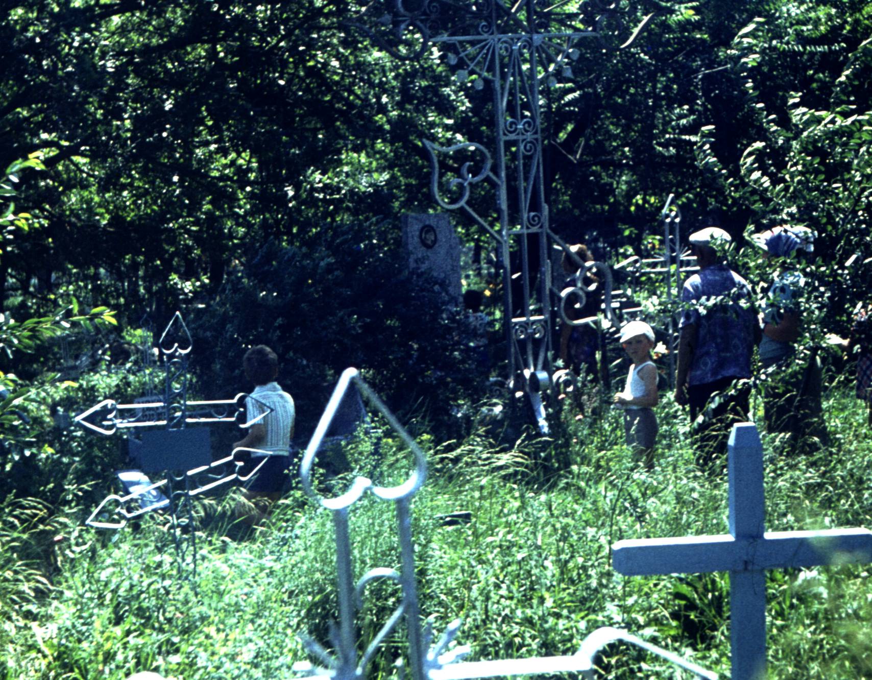 186.jpg