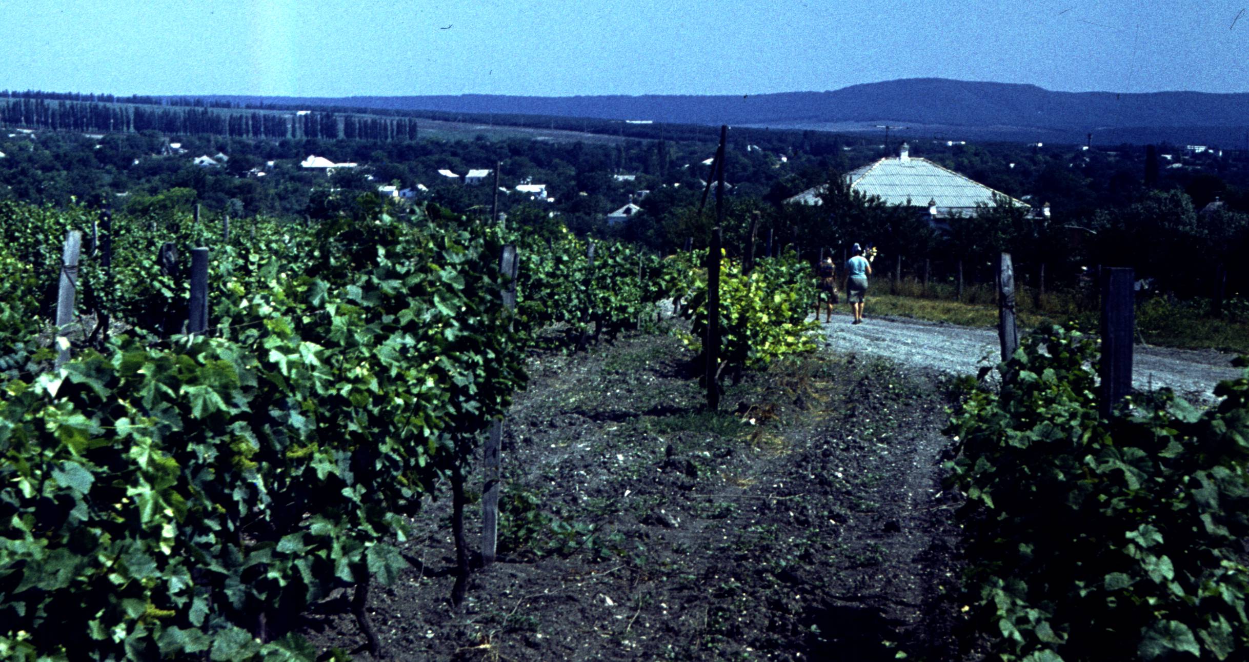 188.jpg
