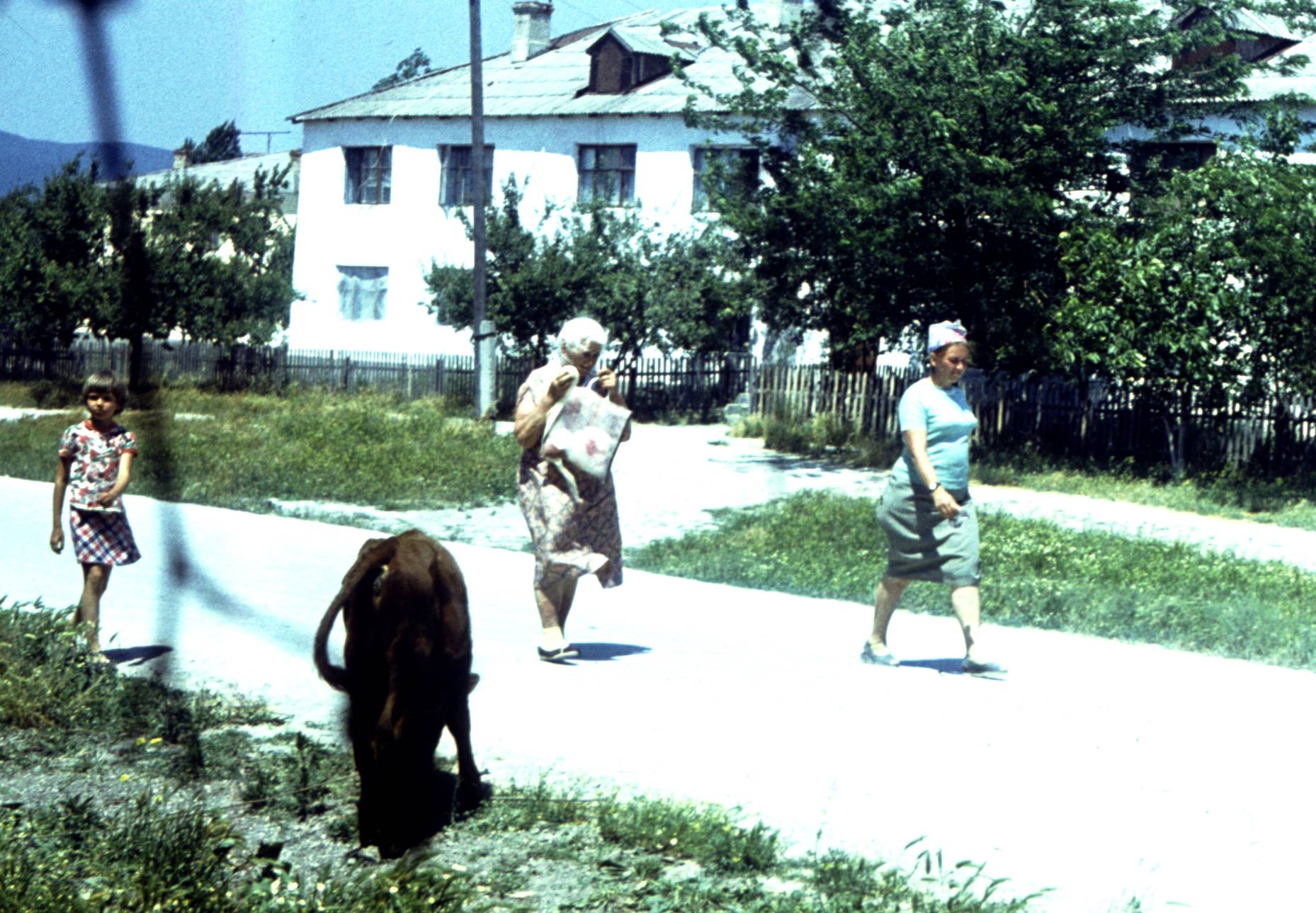 191.jpg