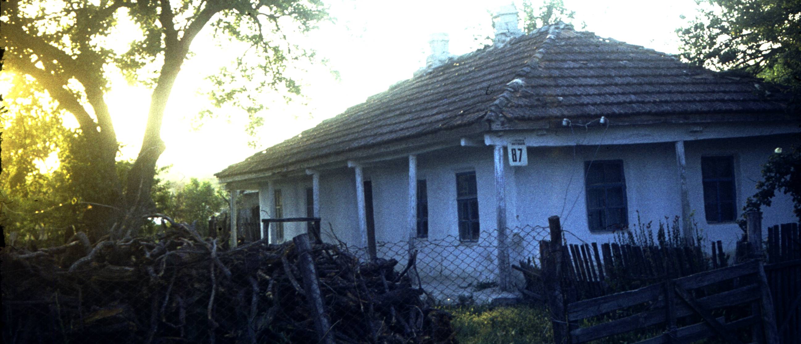 196.jpg