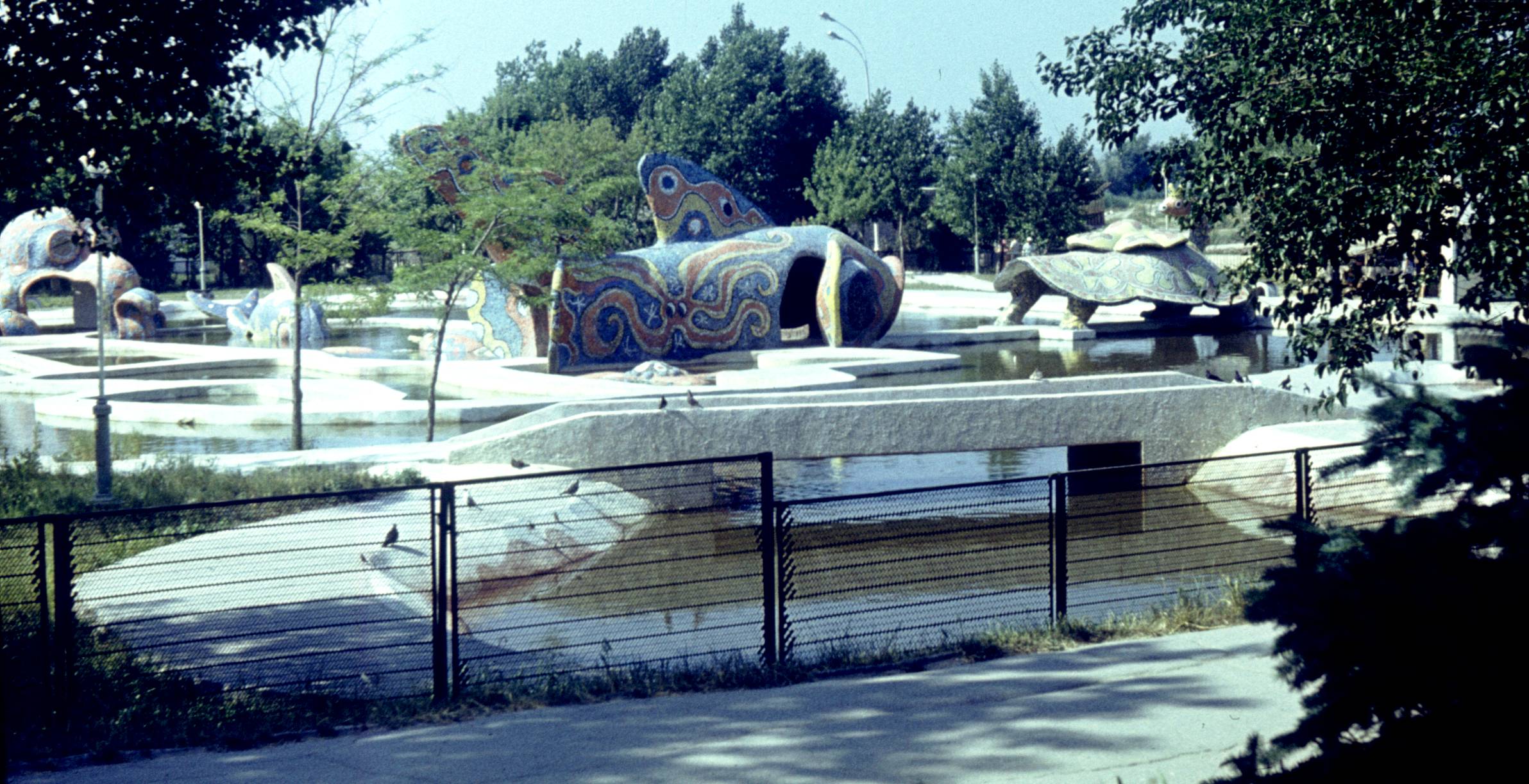 215.jpg