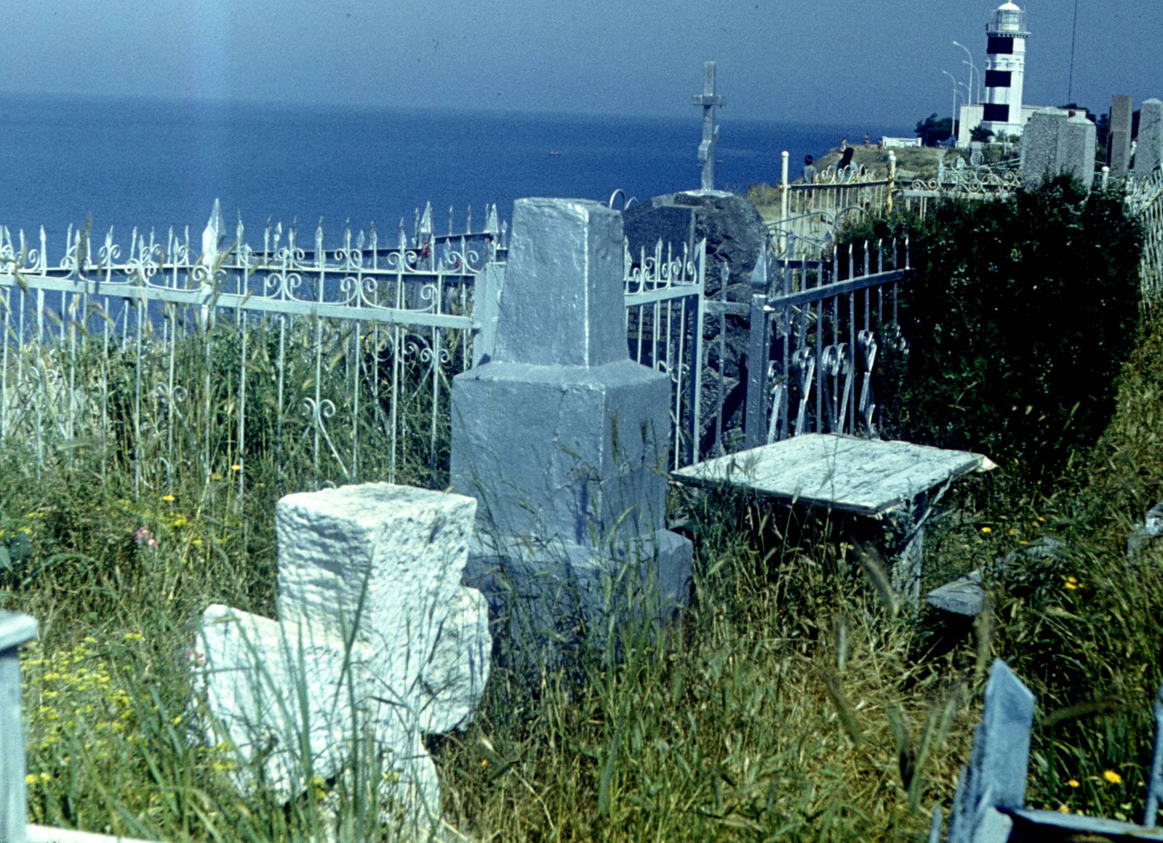 229.jpg