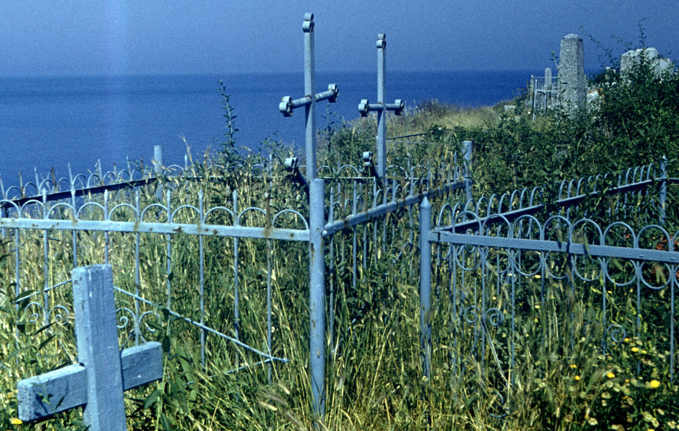 235-1.jpg