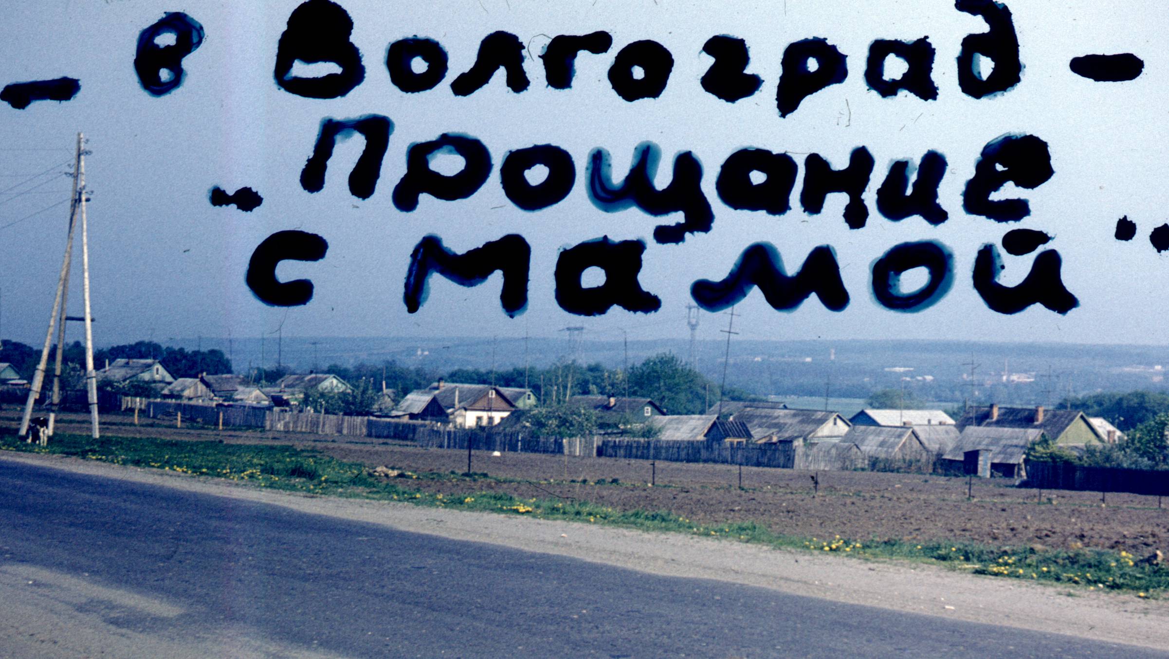 237.jpg