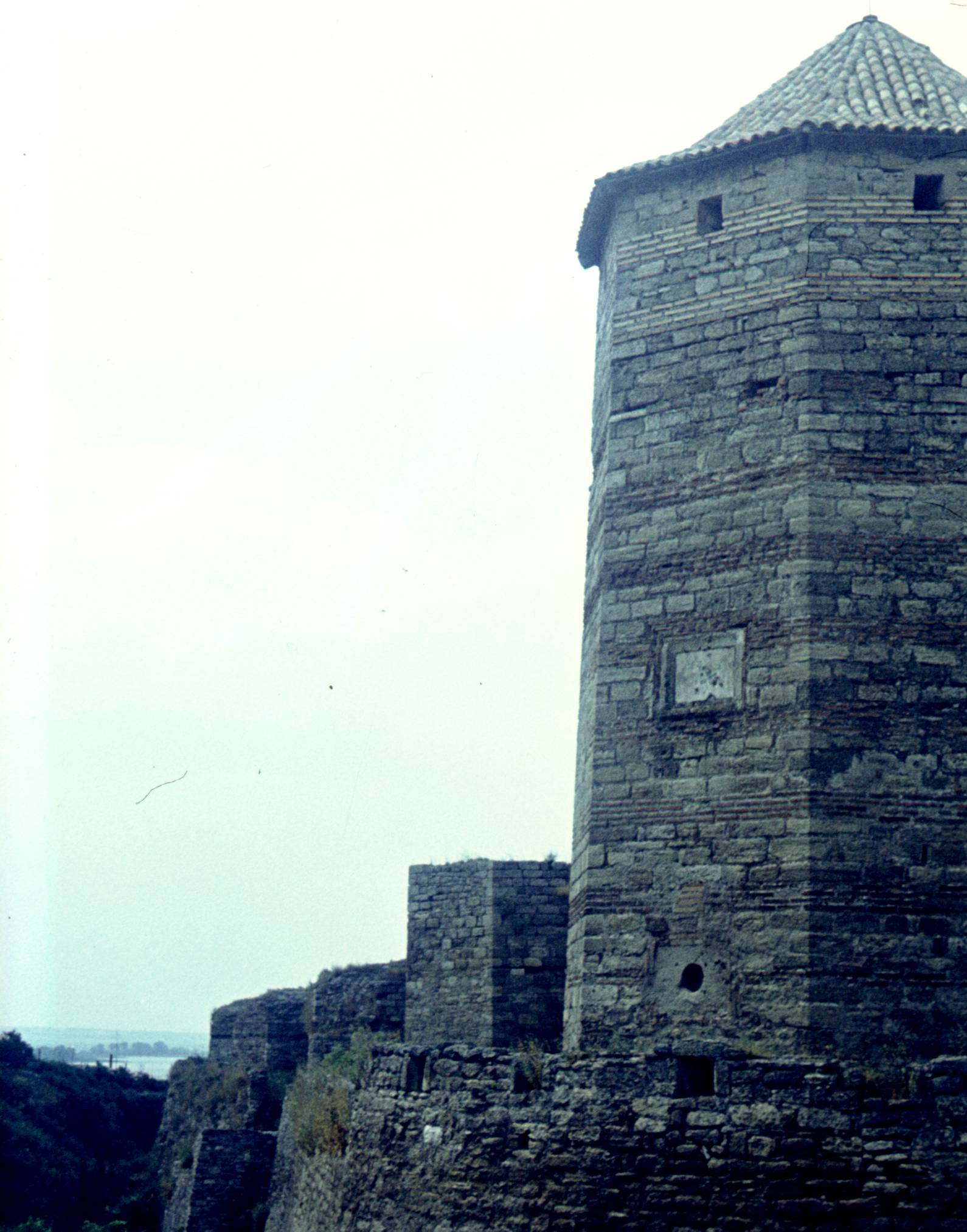 050.jpg