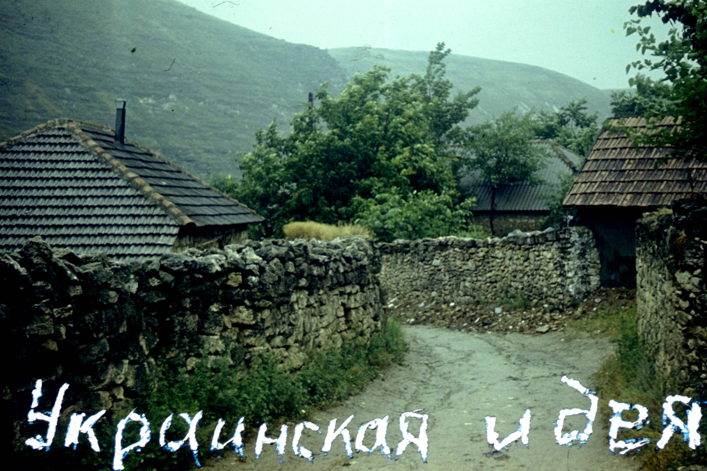 121.jpg