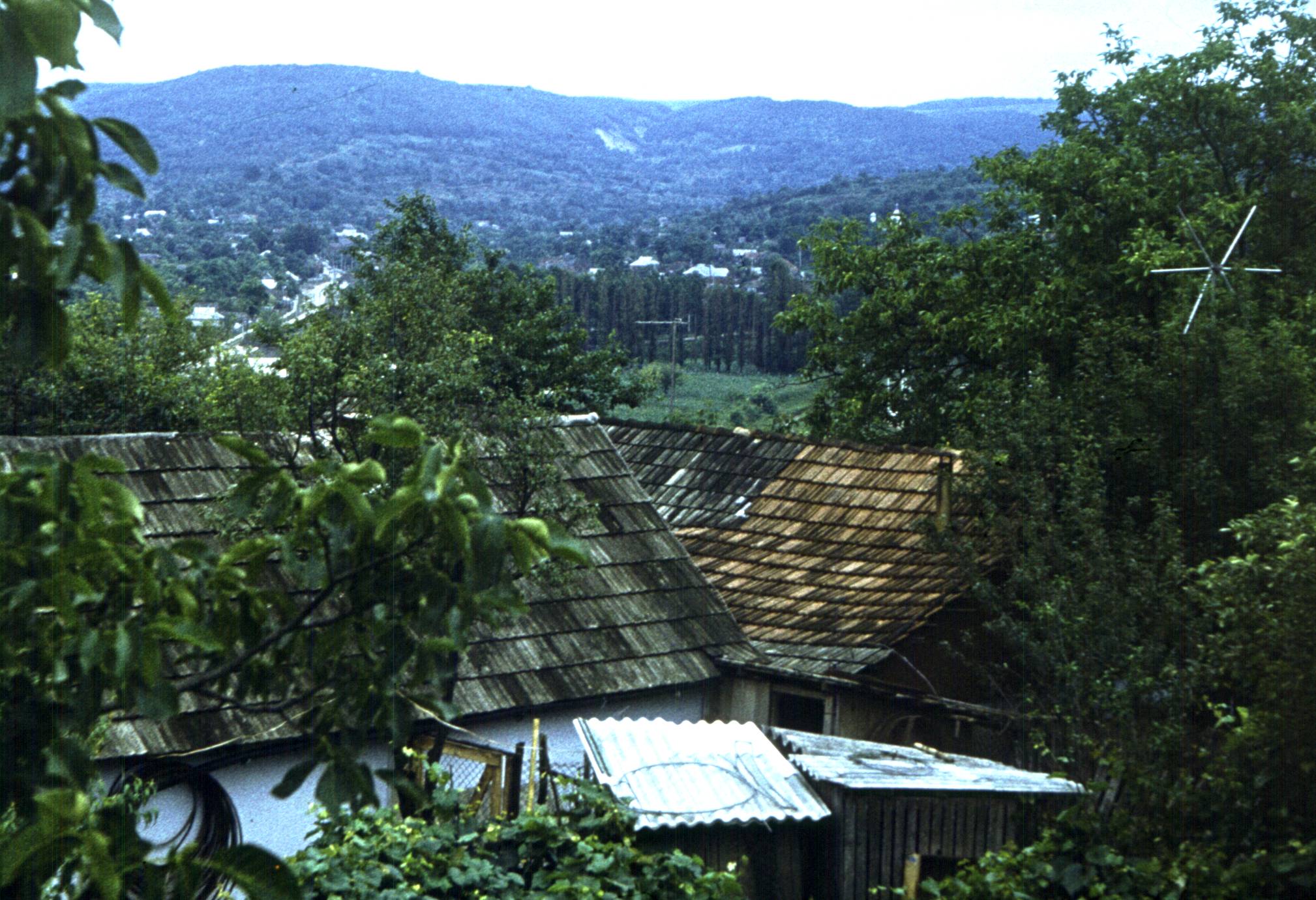 127.jpg