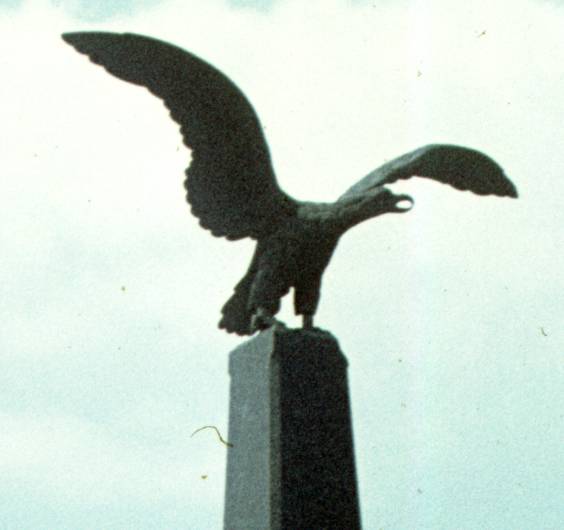 139-1.jpg
