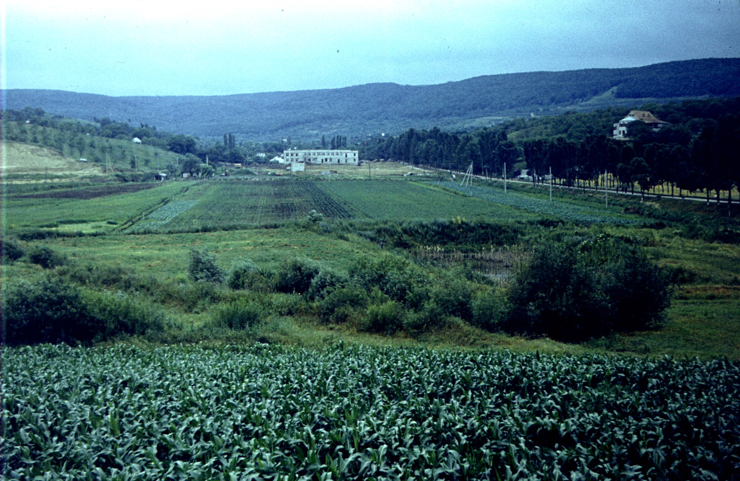 168.jpg