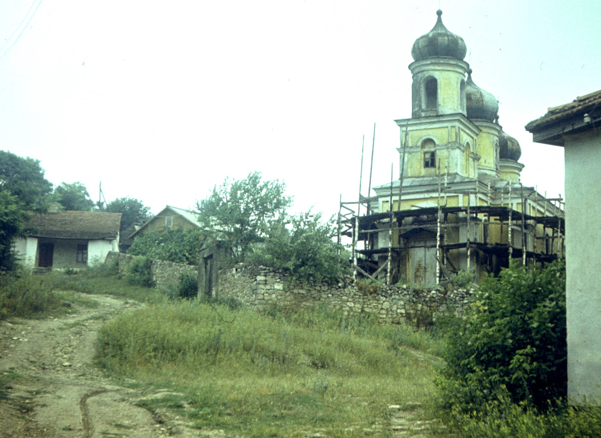 175.jpg