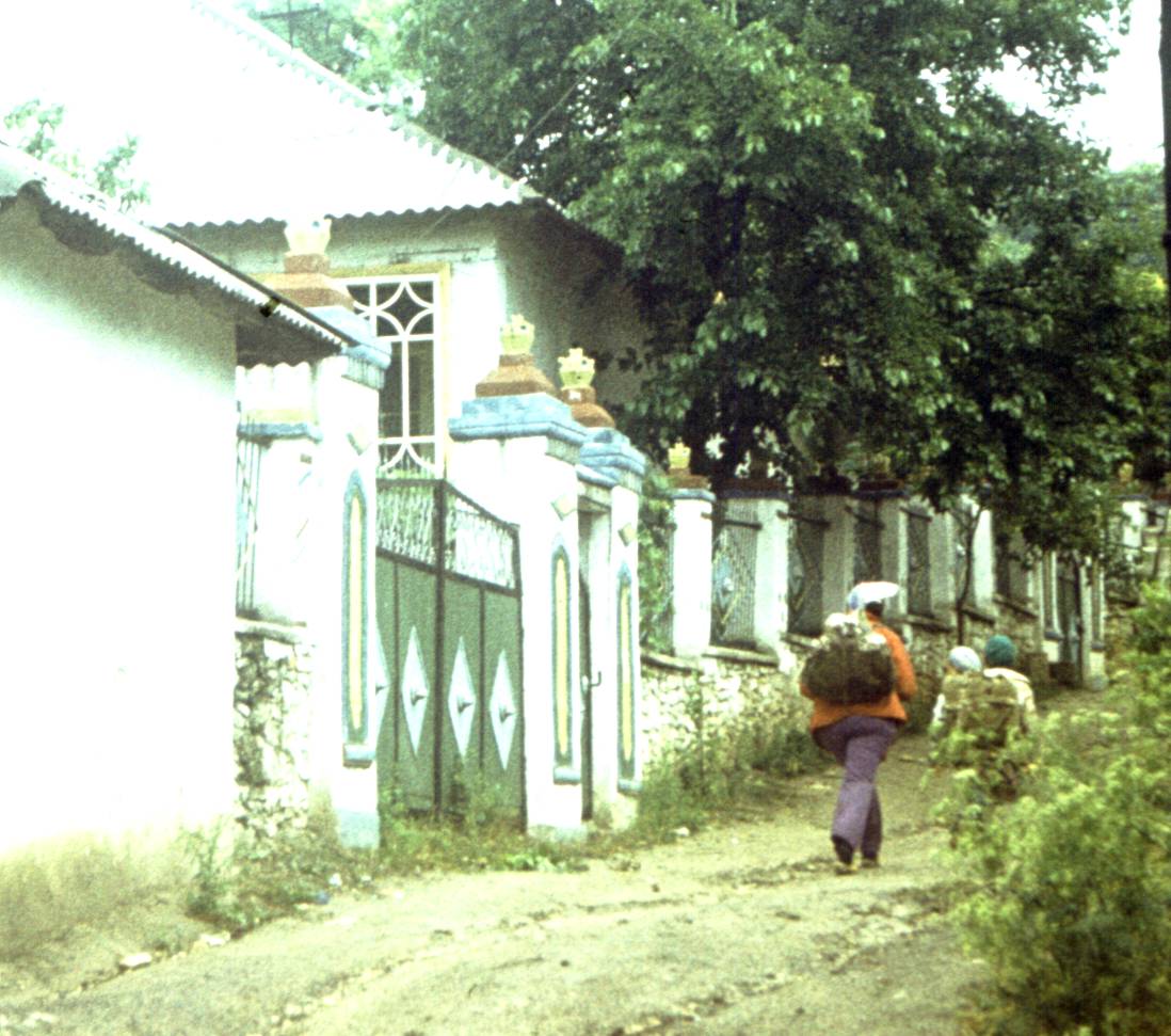 183.jpg