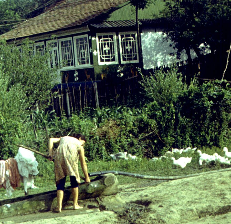 184-1.jpg