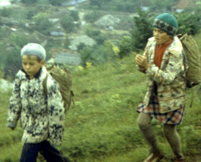 194-1.jpg