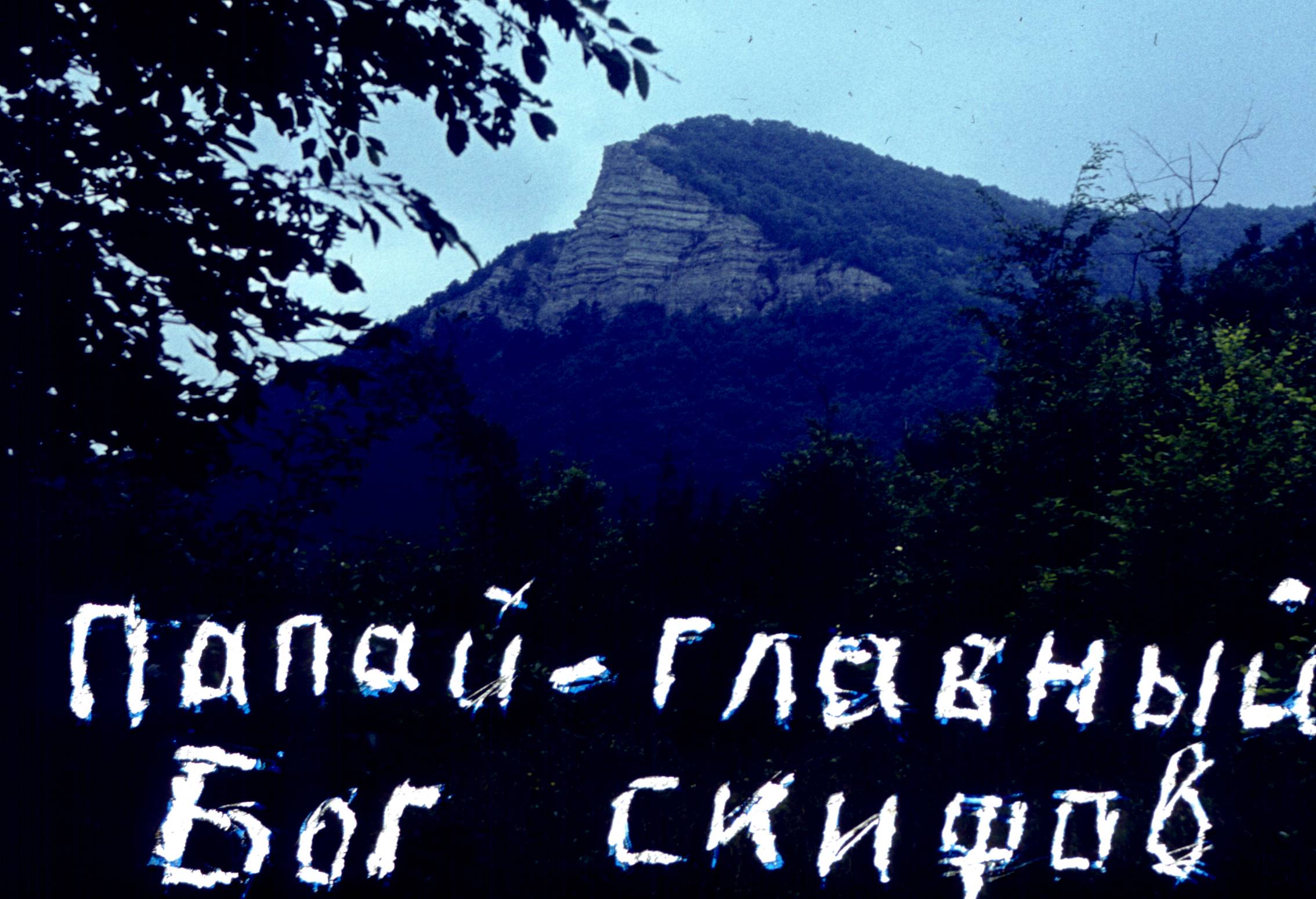 041.jpg