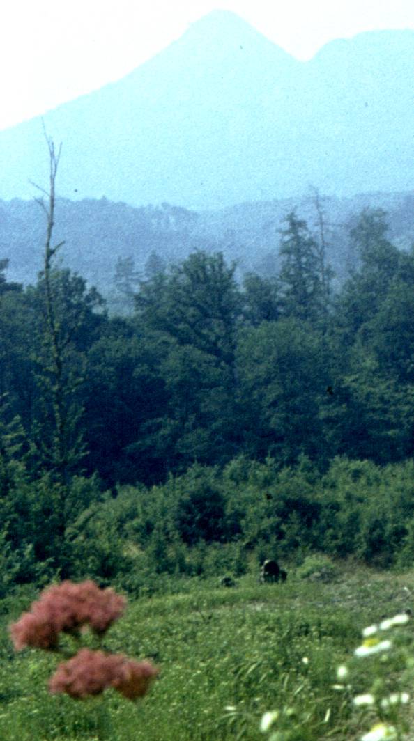 042-1.jpg