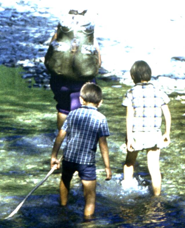 077-1.jpg