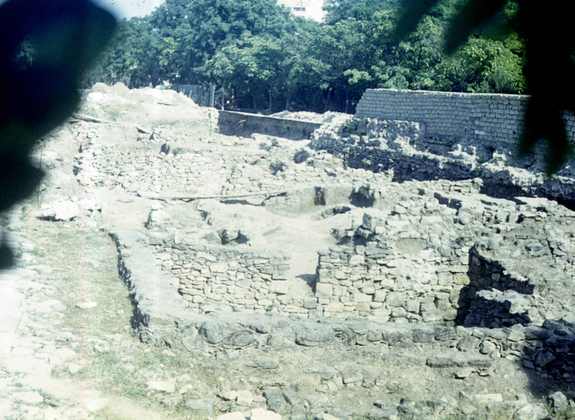120.jpg