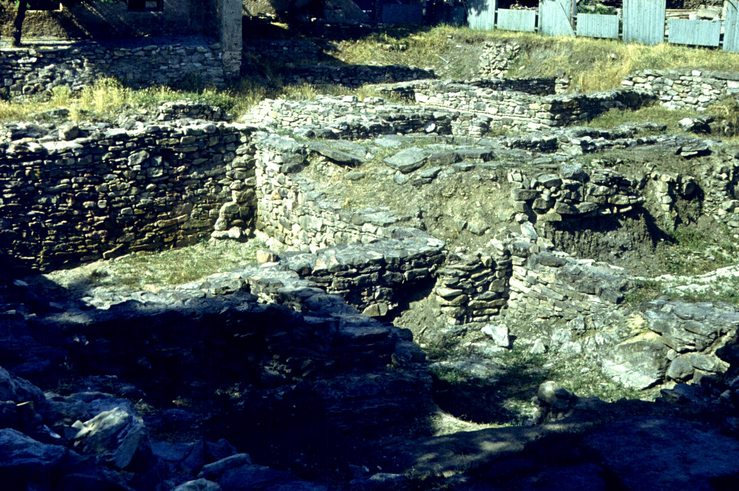 144.jpg