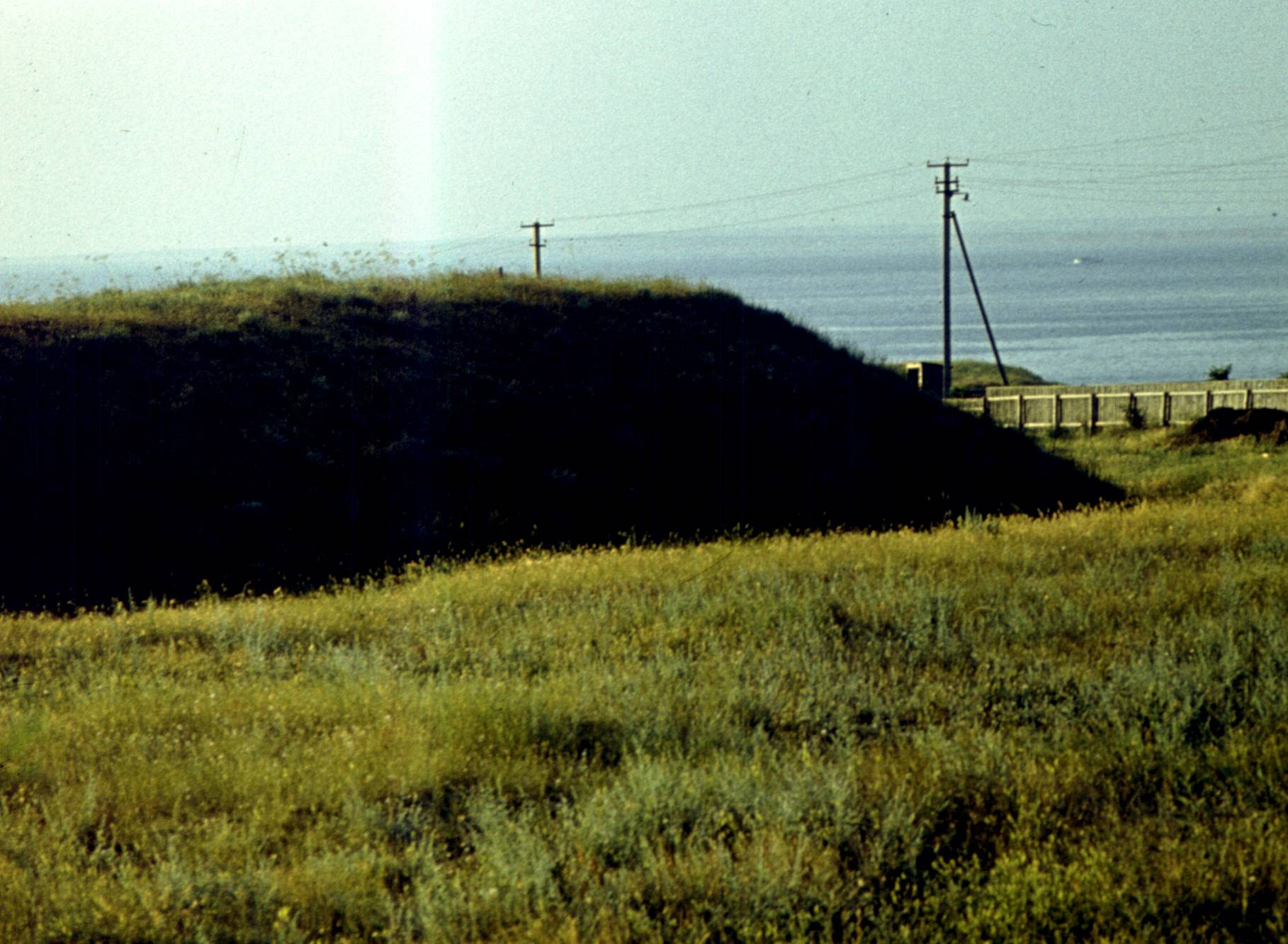 153.jpg