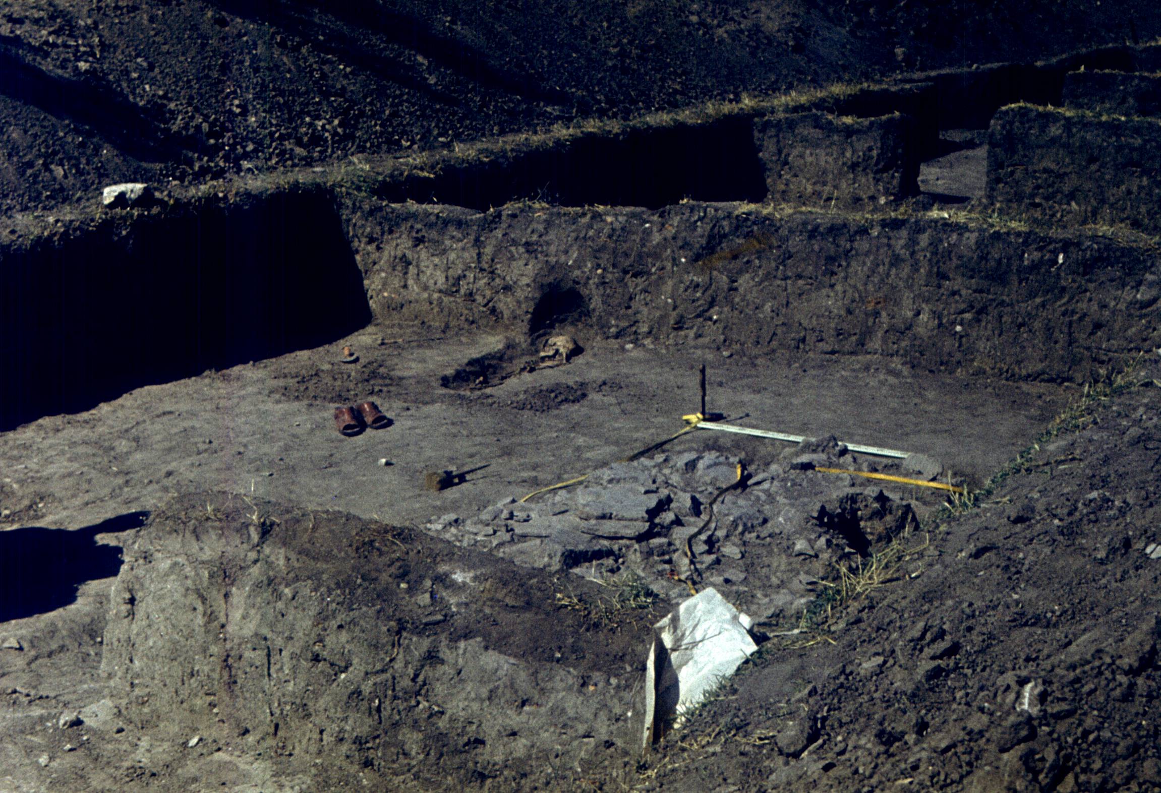 165.jpg