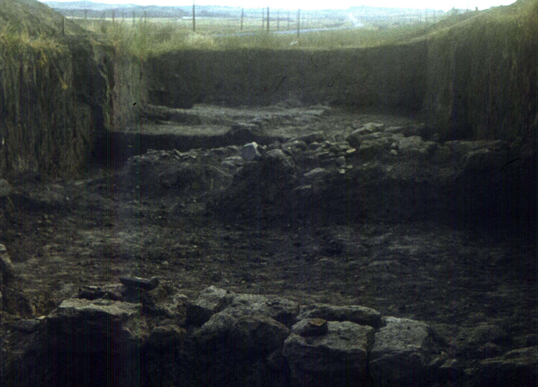 167.jpg