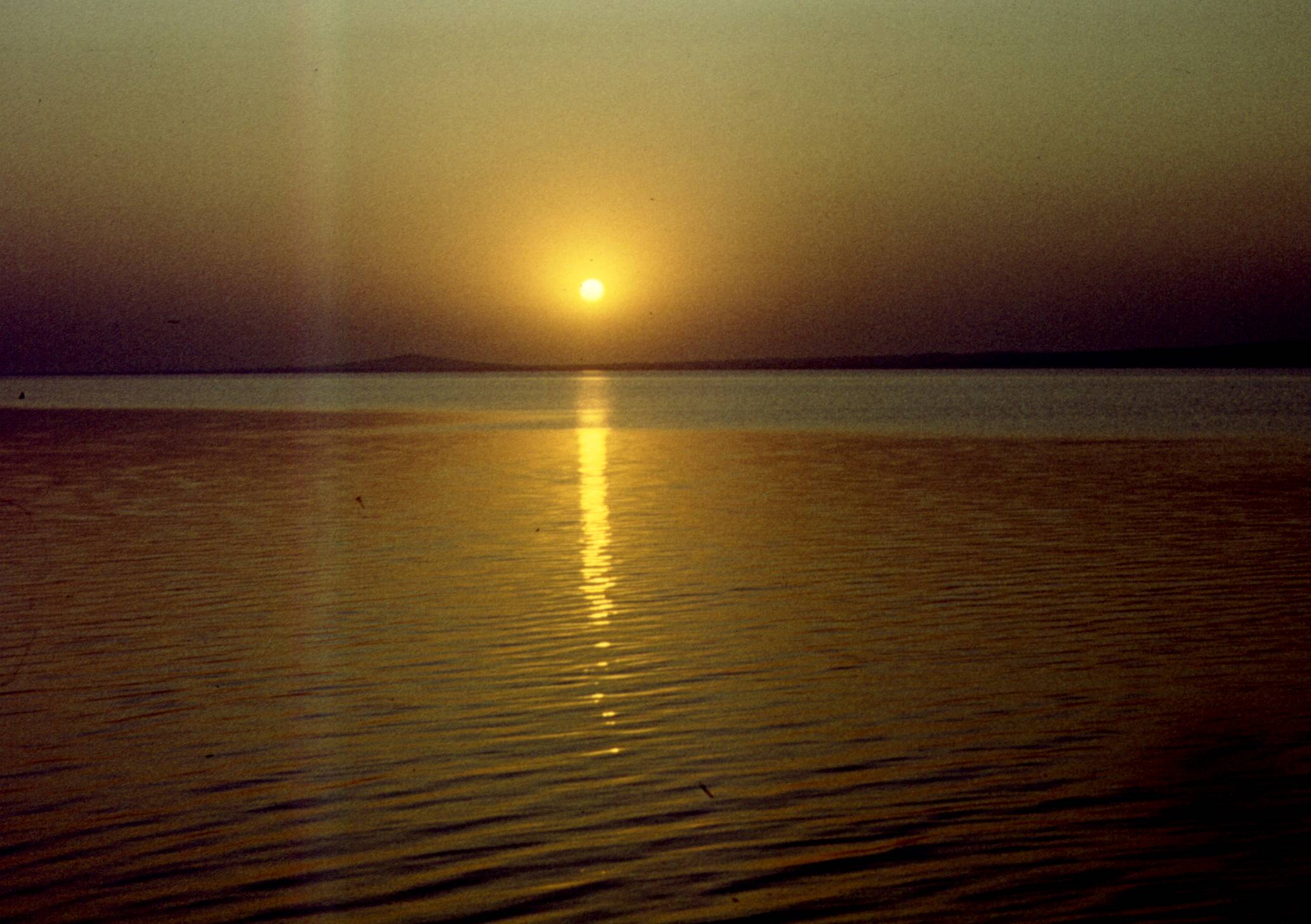 193.jpg