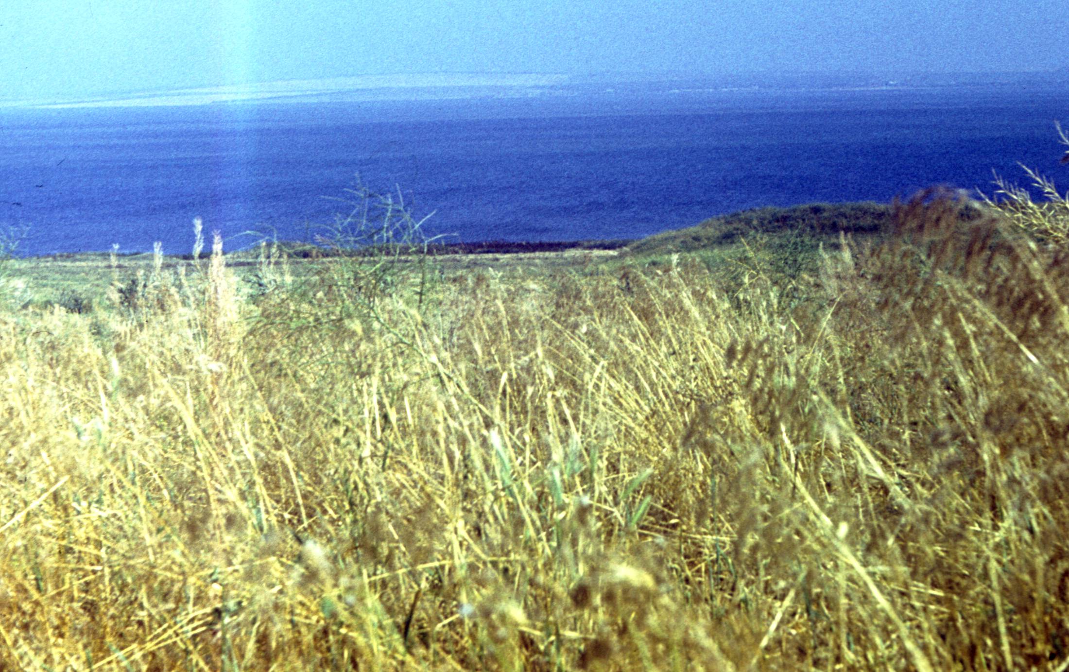 197-1.jpg