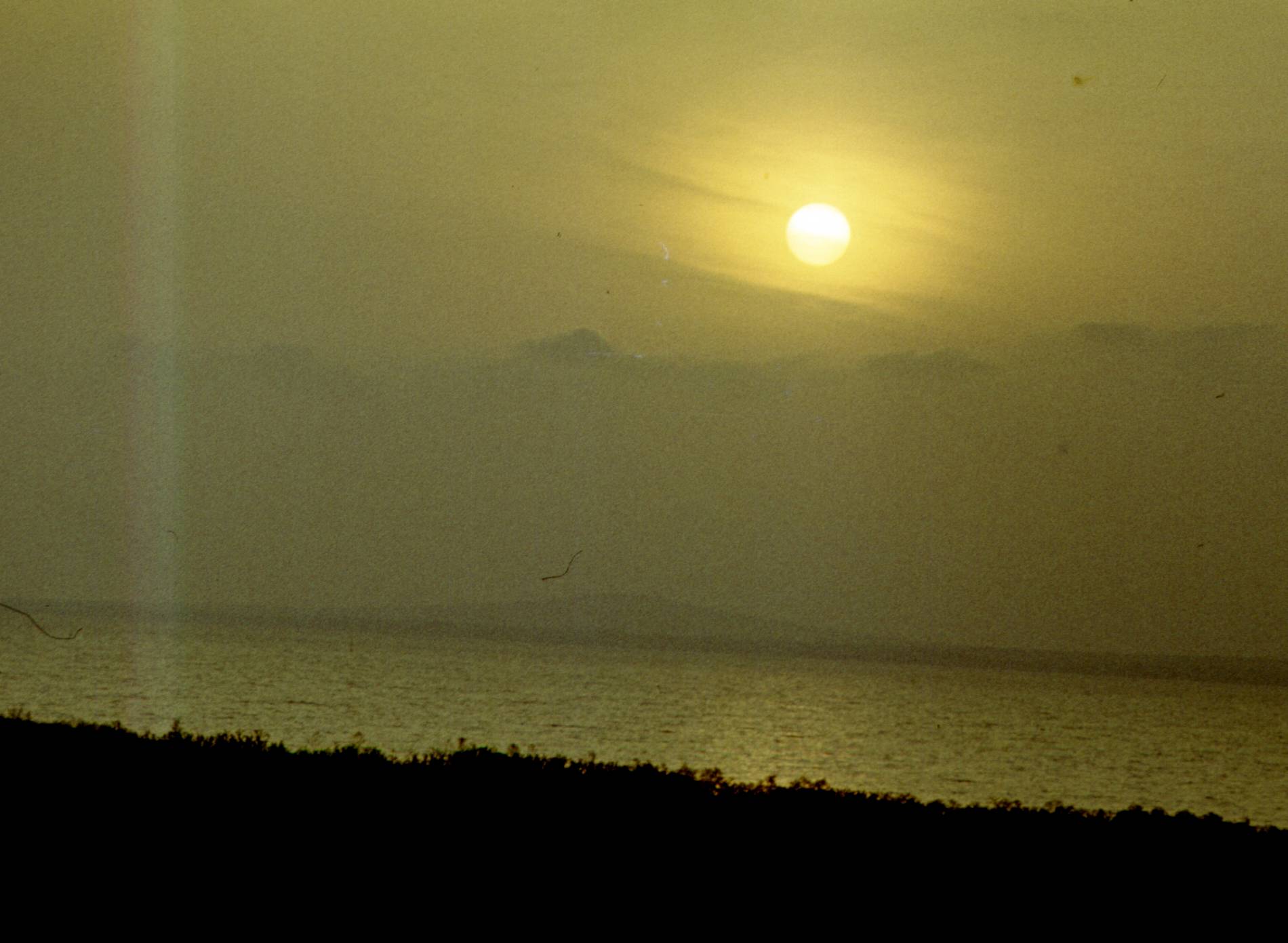 199.jpg