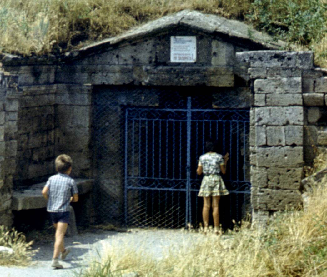 224-1.jpg