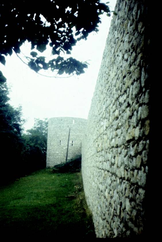 064.jpg