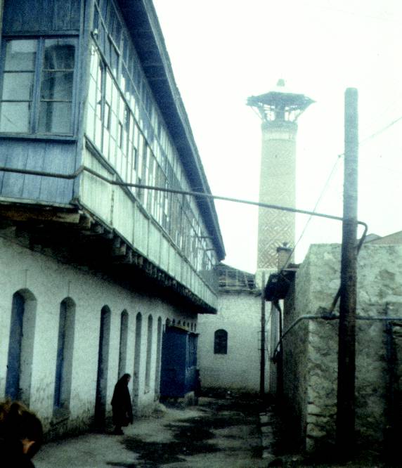 100.jpg