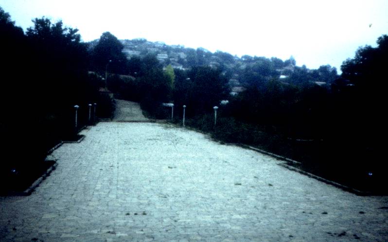 103.jpg