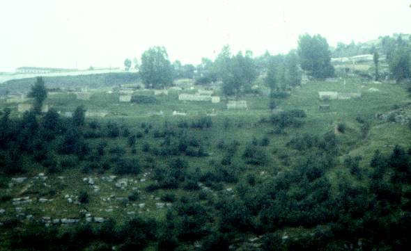 119.jpg
