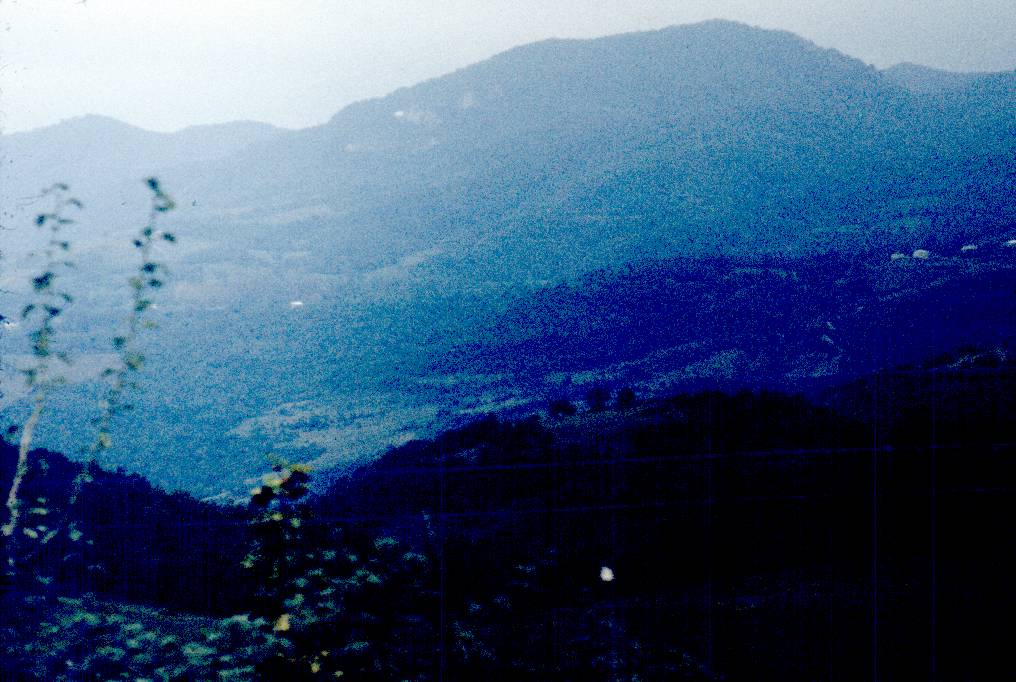 138.jpg