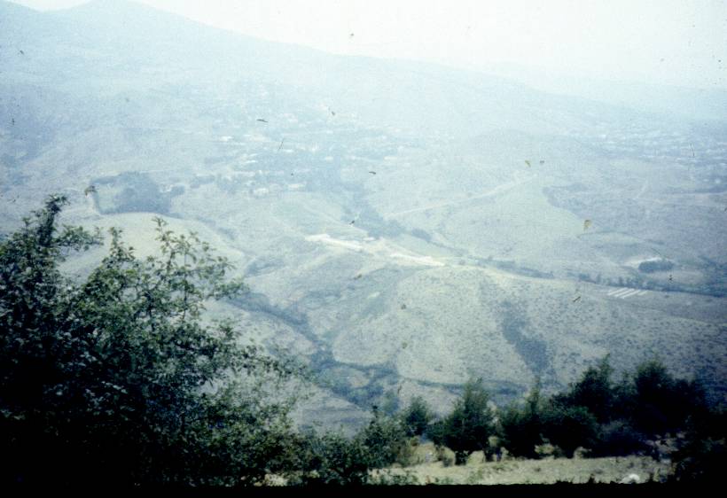 146.jpg