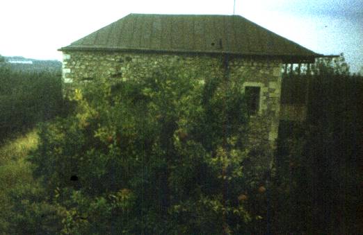 221.jpg
