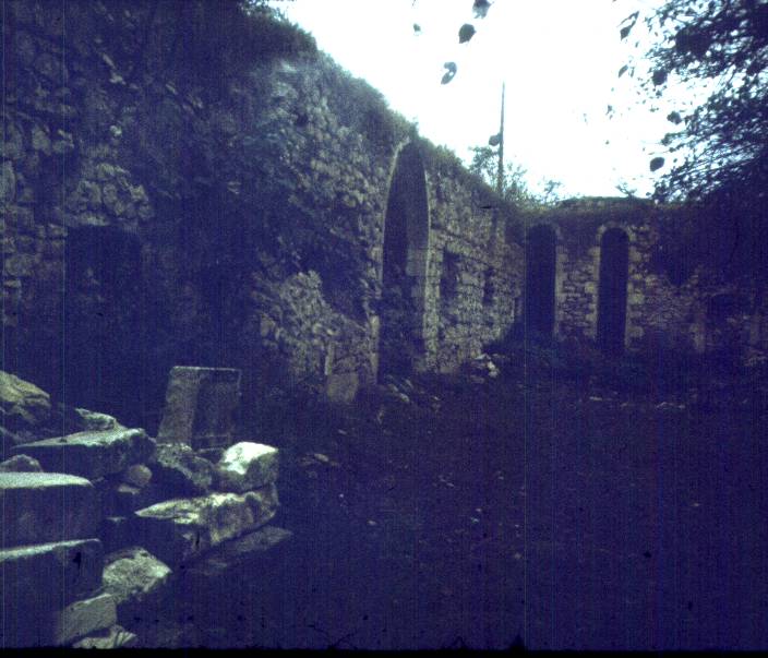 224.jpg