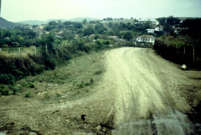 241.jpg