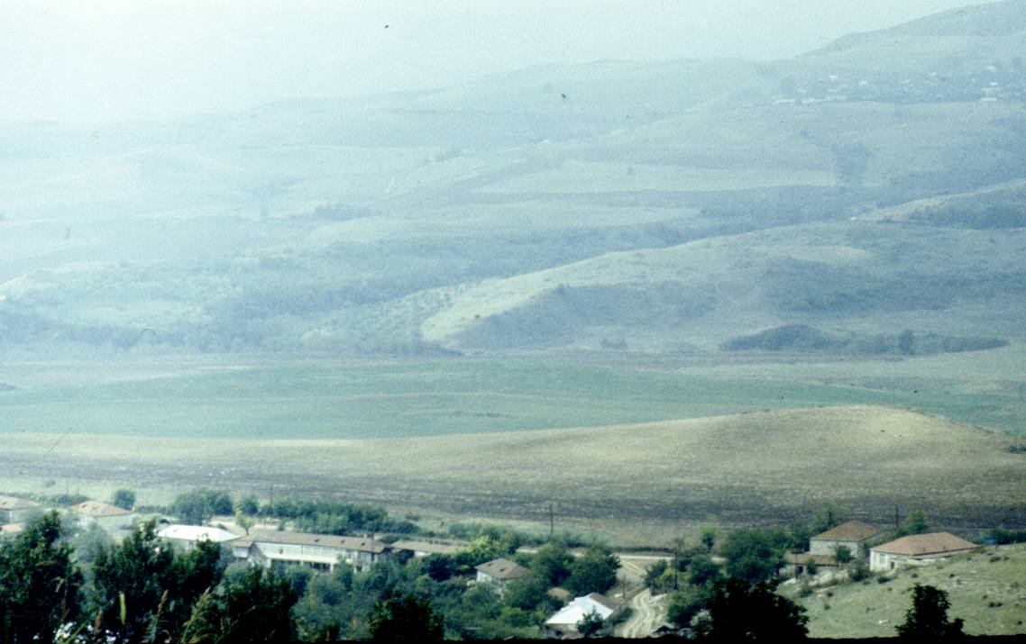 245.jpg