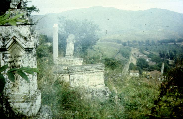 254.jpg