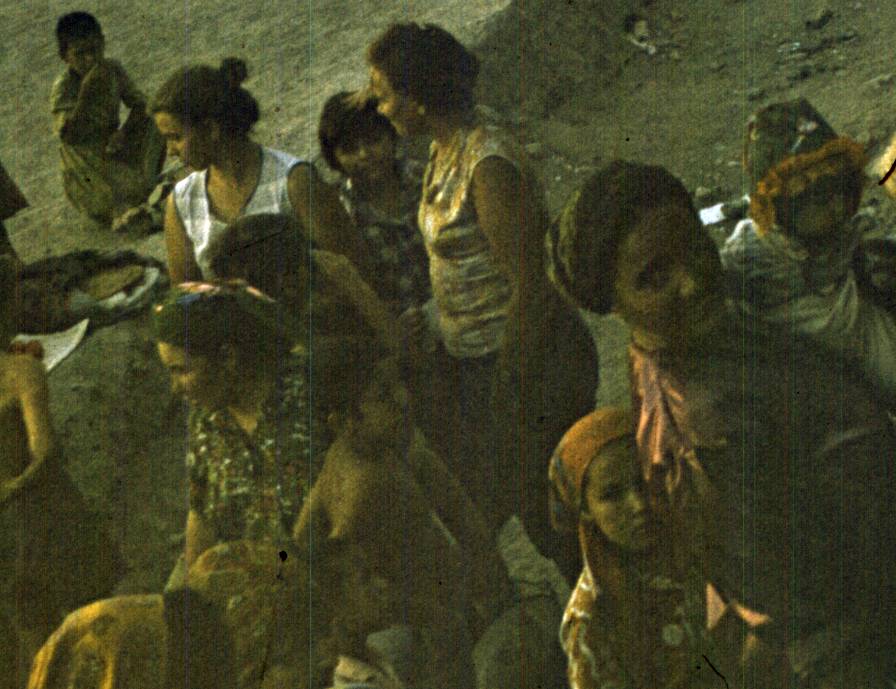 008-1.jpg