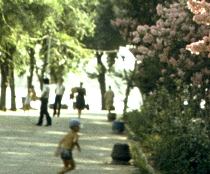 097-1.jpg