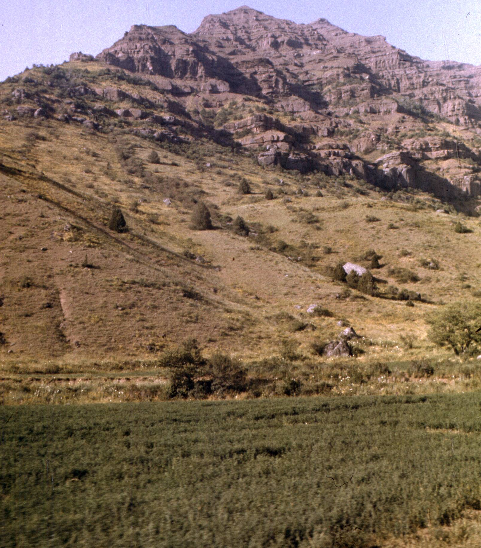 119.jpg