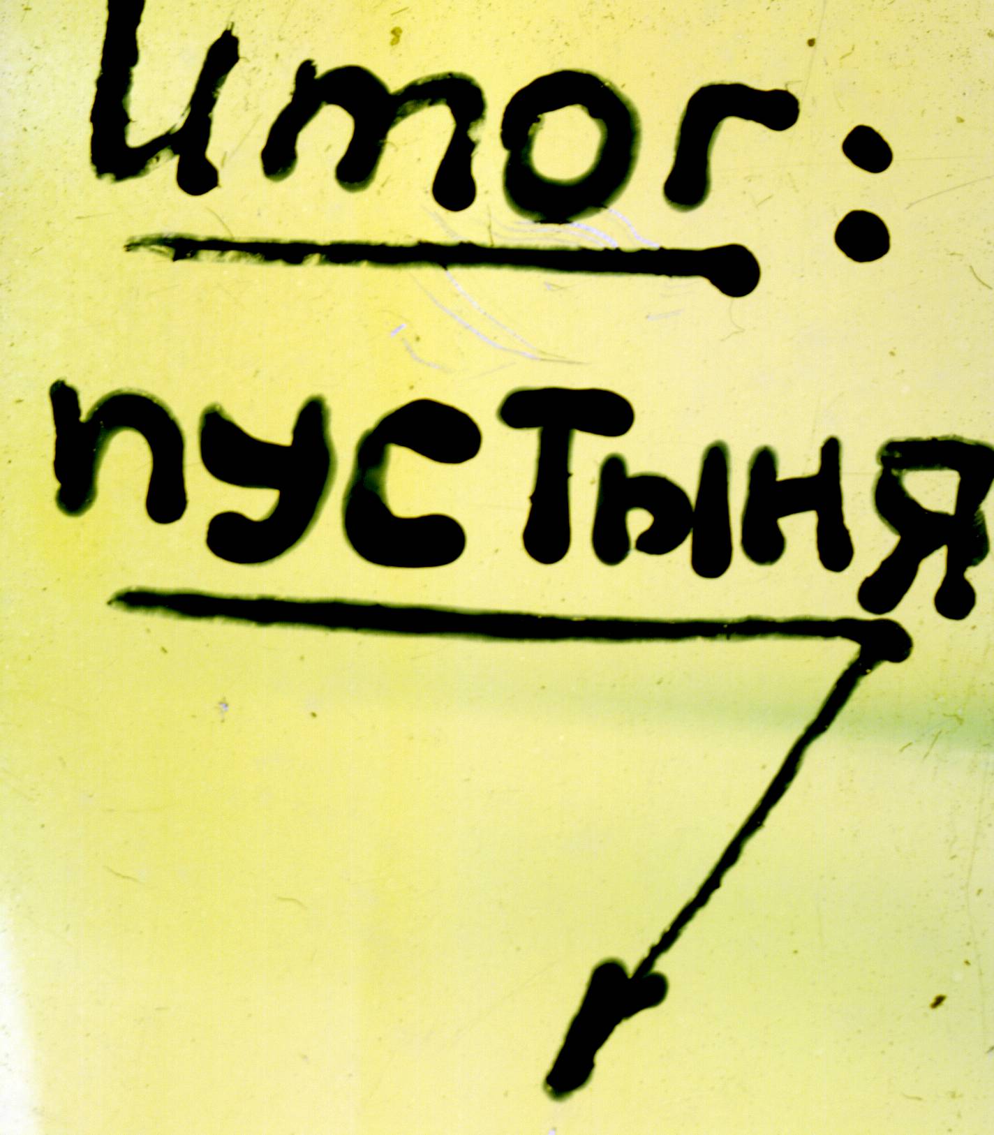 146.jpg