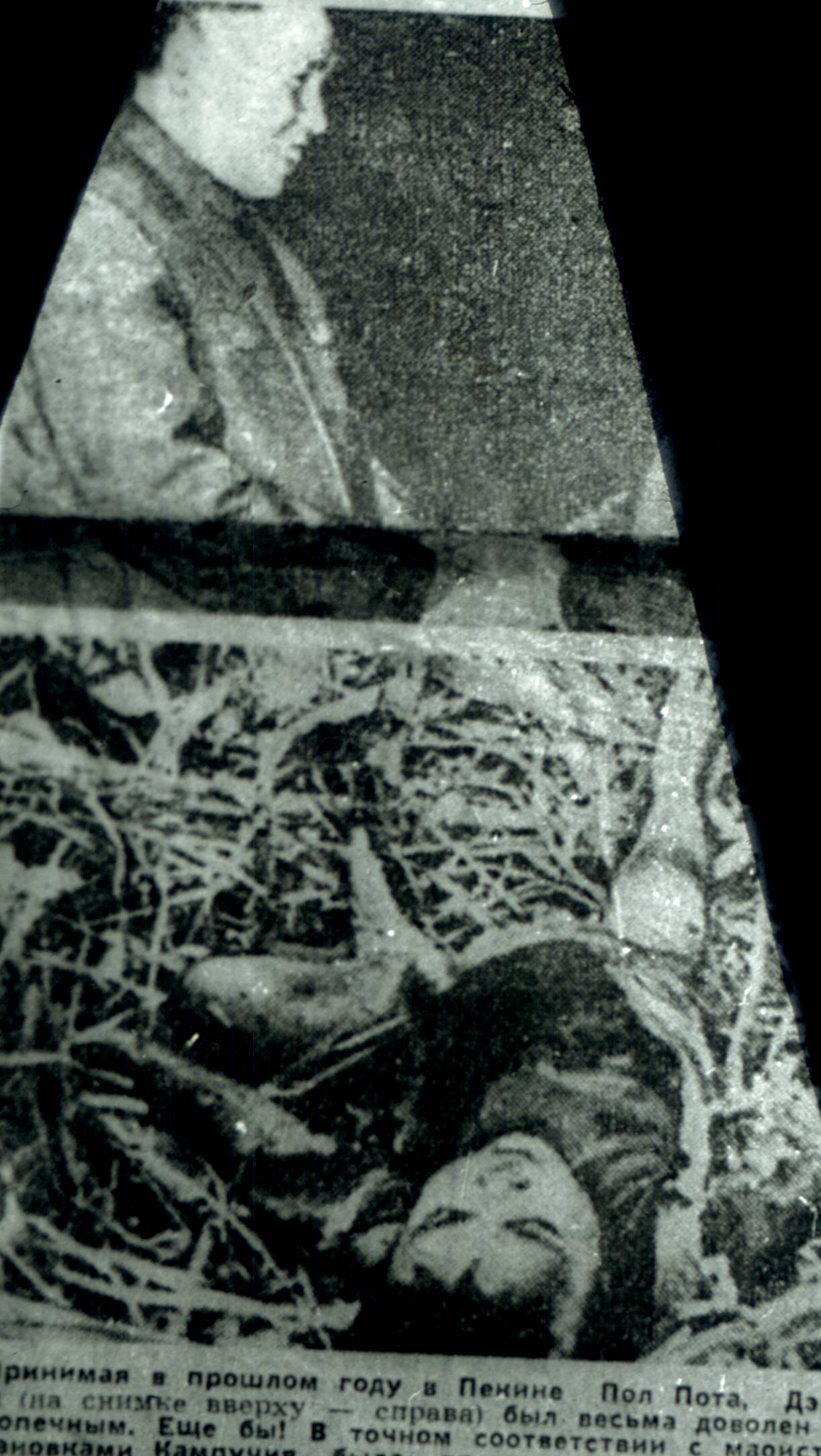 164.jpg